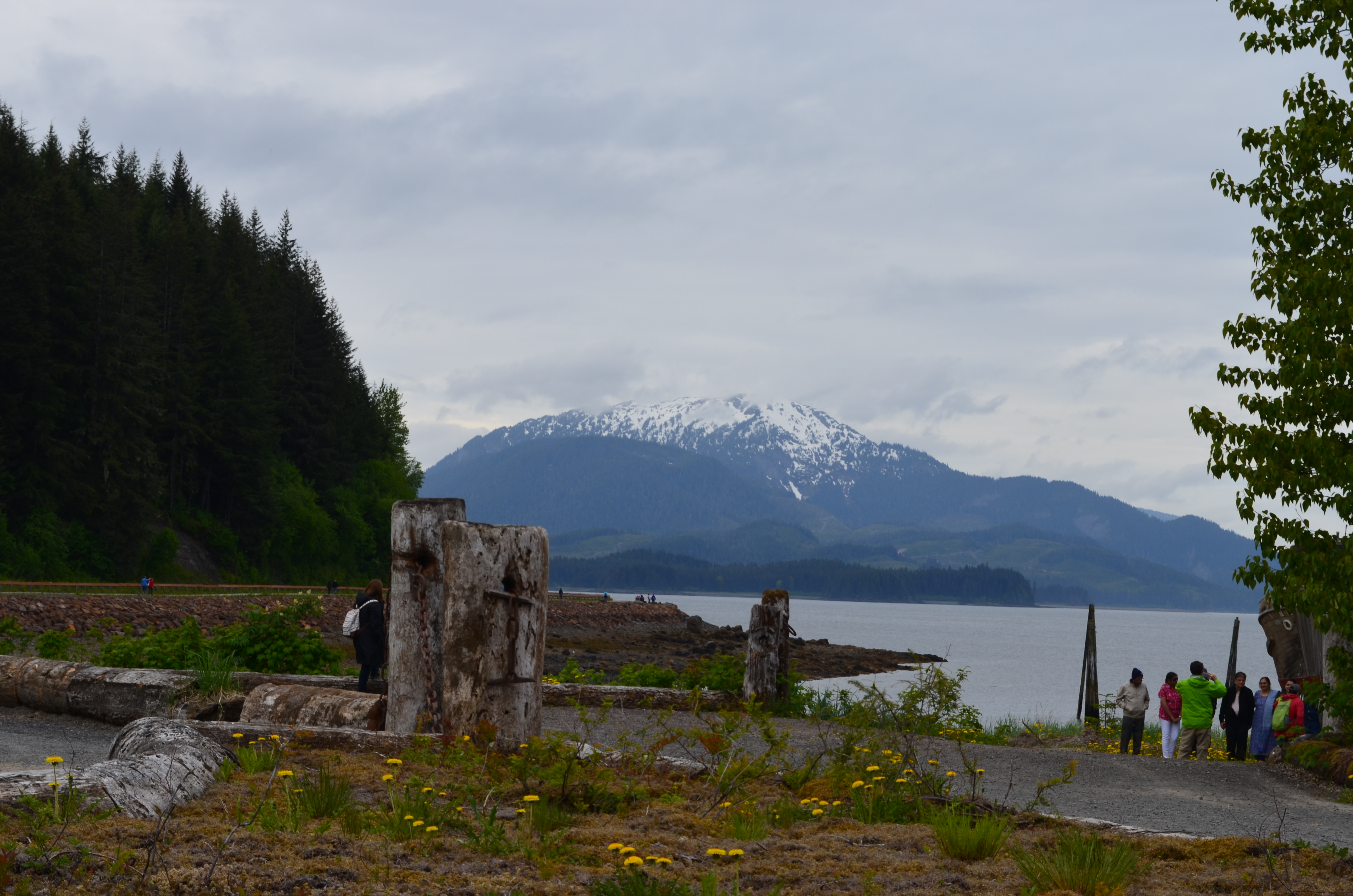 ./2017/08 - Alaska Cruise/10 - Icy Strait Point/DSC_0318.JPG